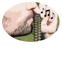 BRACELET DE SURVIE -Tente Camp Nature Magasin d99f97b1abe66f5aa0b534c39f6d